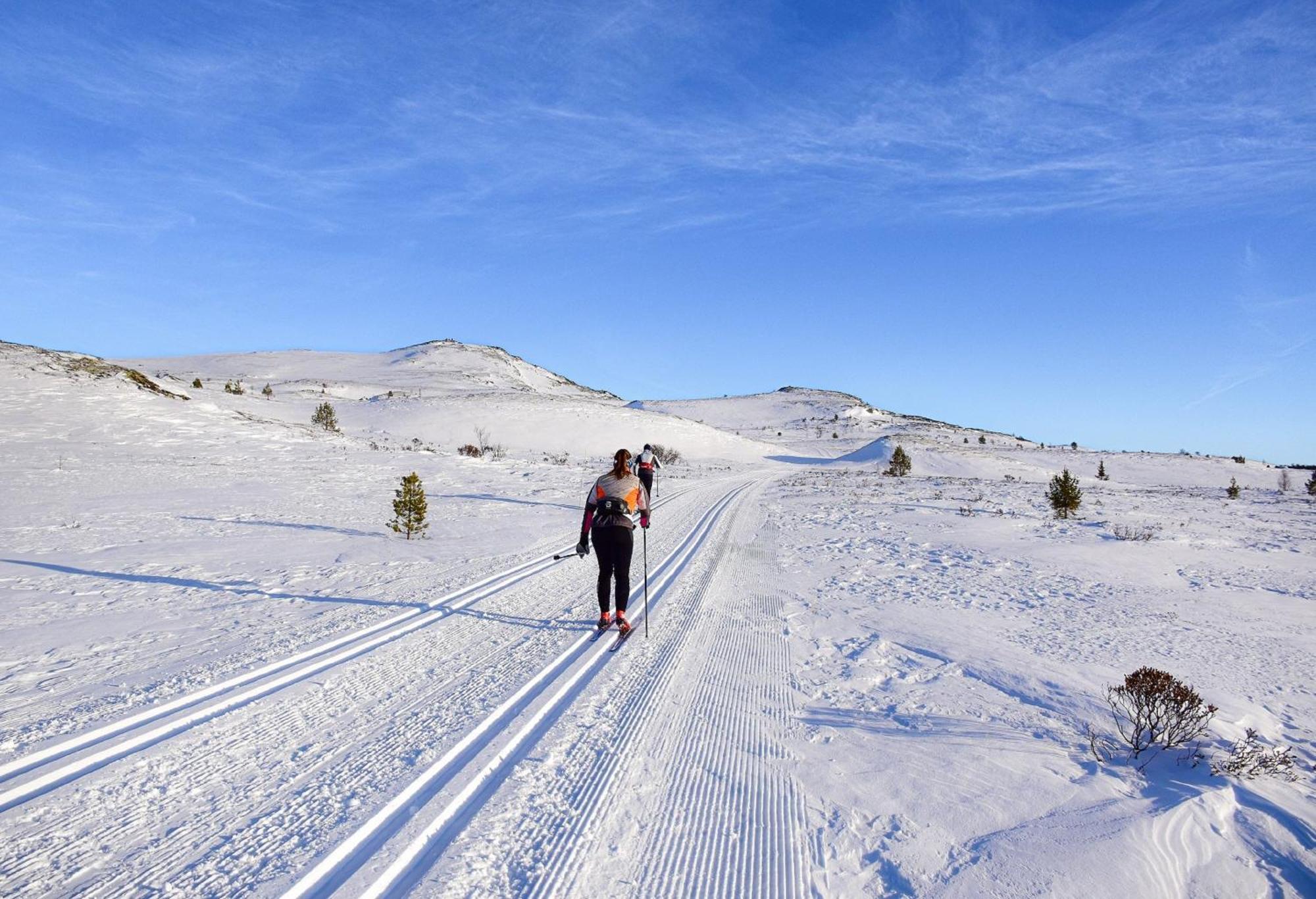Rondane Haukliseter Fjellhotell Høvringen Kültér fotó